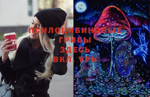 а пвп мука Новозыбков