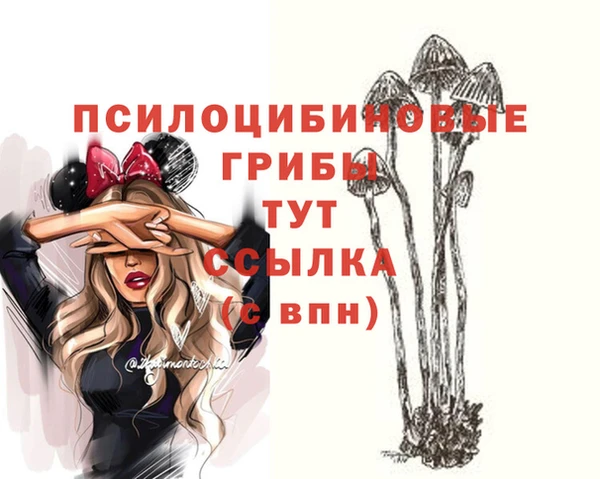 сатива Алексин