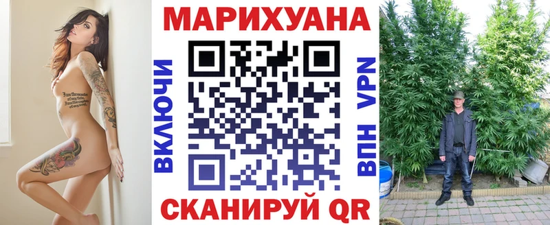 Конопля гибрид Старая Купавна